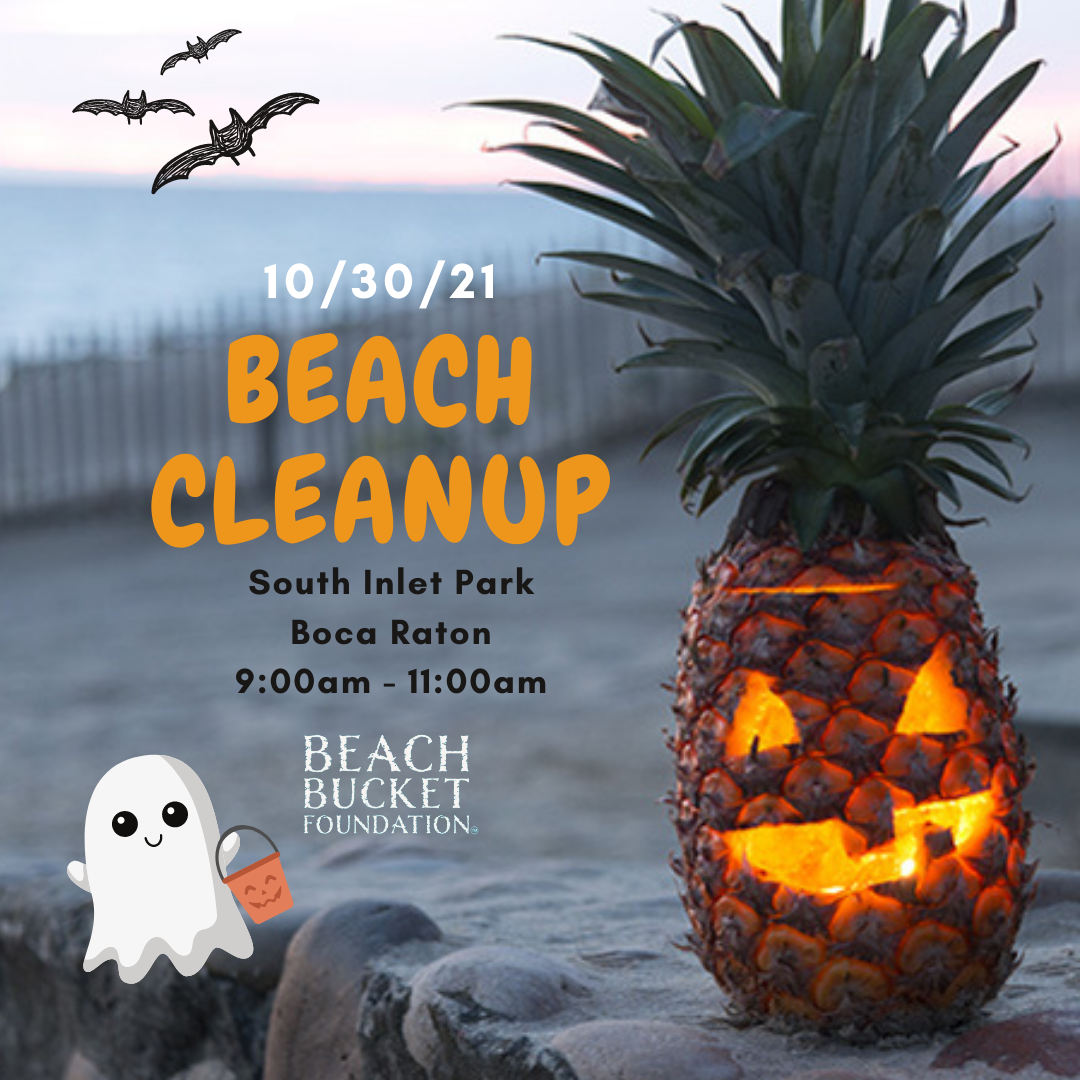 Beach Cleanup Image